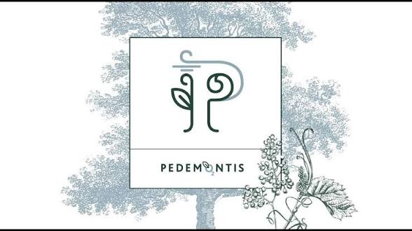 Pedemontis